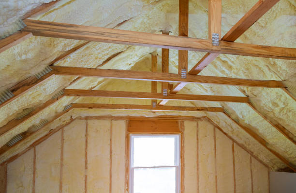 Best Attic Insulation Near Me  in Lake Barcroft, VA
